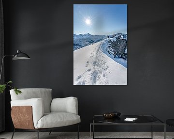 Winteruitzicht op de Allgäuer Alpen in het Rappenalpendal van Leo Schindzielorz