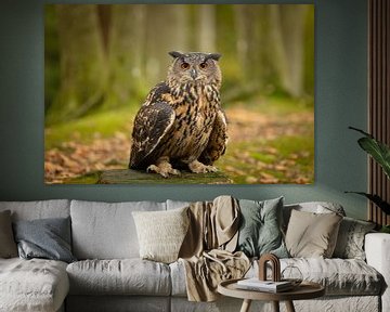 Eagle Owl in the forest by KB Design & Photography (Karen Brouwer)