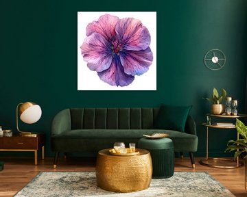 Dianthus Delight by Chromatic Fusion Studio