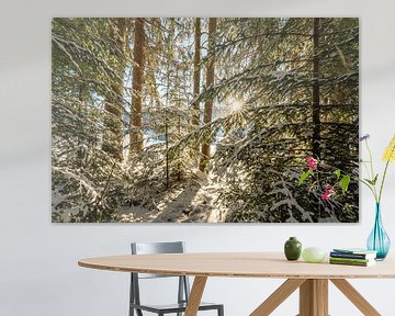 Wintermagie in het bos met de eerste zonnestralen van Leo Schindzielorz