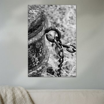 The lock on the chain