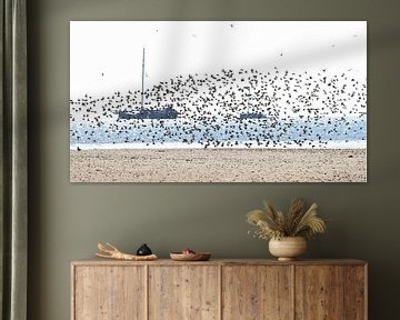 Birds Ameland van Johanna Oud
