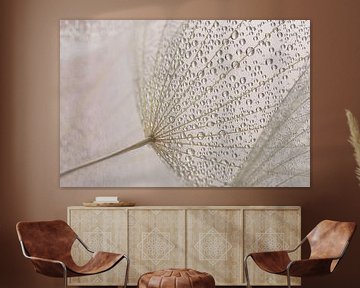Soft pastel colours in the morning: The water droplets hang from a fluffy fabric by Marjolijn van den Berg