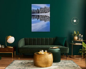 Reflection on the lake in winter by Claude Laprise