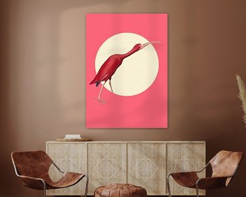 The Timid Scarlet Ibis by Marja van den Hurk