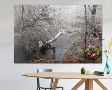 Winter forest with hoarfrost and fog near Stockach - Baden-Württemberg by BlattArt - Christine Horn