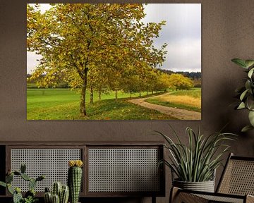 Herfstlandschap bij Eigeltingen-Homberg in Hegau