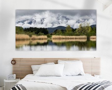 Tussen licht en schaduw - het stille ontwaken van de lente van Walter G. Allgöwer