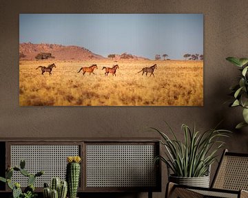 Wild horses of Aus by Antwan Janssen