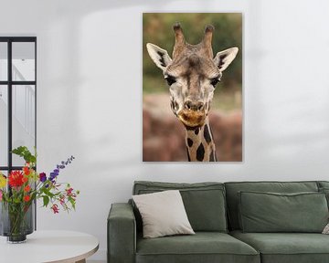 Girafe sur Bart van Dinten