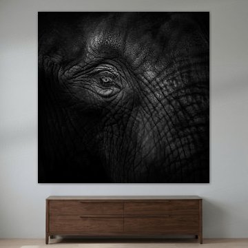 Alter Augenelefant (gesehen bei vtwonen) von Ruud Peters