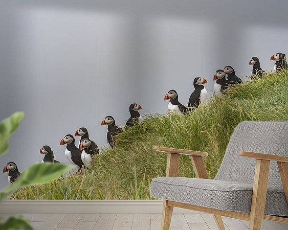 Aperçu de la chambre