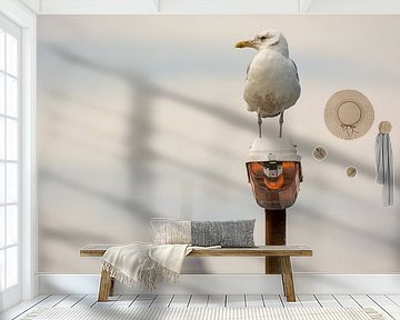 Gull on the lookout