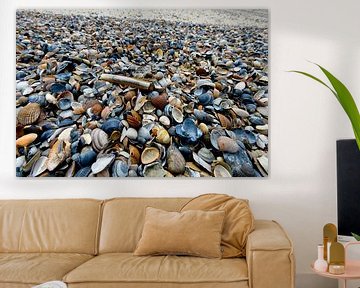 Schelpenstrand aan de Noordzee van Blond Beeld