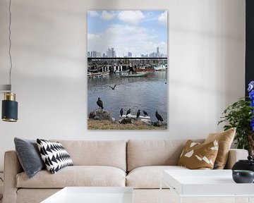 Birds in the city's harbour by Claude Laprise