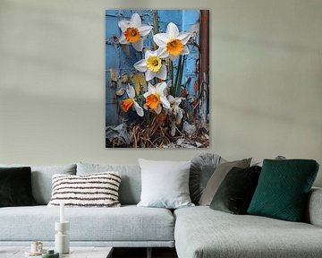 Stad Narcissen Natuurlijke Macht Bloesems Delicatesse Verval Stedelijkheid van gm_designs