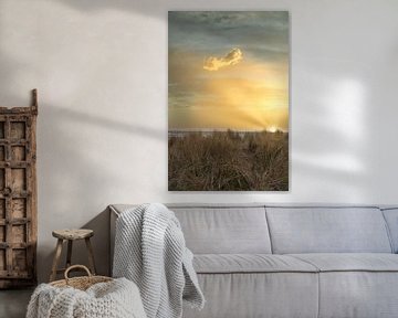 Uitzicht over het strand op Usedom met duinen aan de ene kant en de Baltische Zee aan de andere kant van Martin Köbsch