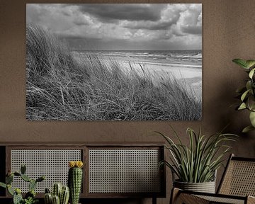 Uitzicht over het strand op Usedom met duinen aan de ene kant en de Baltische Zee aan de andere, in zwart-wit van Martin Köbsch