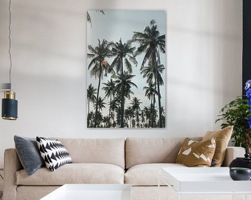 Palm trees forest | travel photography print | Lombok Indonesia by Kimberley Jekel