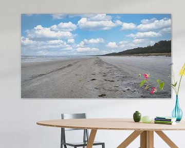 Uitzicht over het strand op Usedom met duinen aan de ene kant en de Baltische Zee aan de andere kant van Martin Köbsch