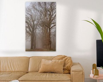 Avenue of Trees in the mist by Marloes ten Brinke