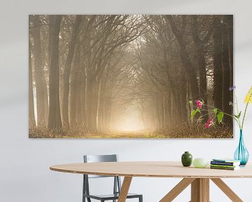 Mistige ochtend tussen de eikenbomen van Marloes ten Brinke