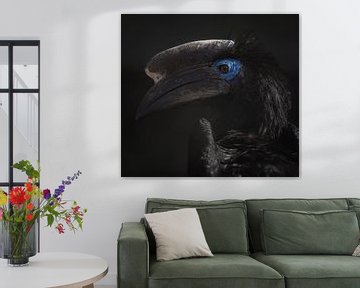 Indringende Blik van de Blauwkeelneushoornvogel van Triki Photography