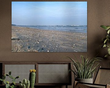 Uitzicht over een strand op Usedom met schelpen en uitzicht op de Oostzee van Martin Köbsch
