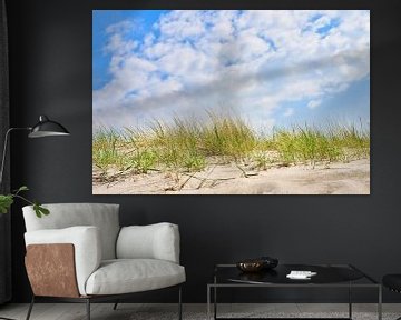 Op het Oostzeestrand met duinen van Martin Köbsch
