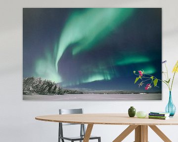 Northern lights | travel photography print | Inari Lapland Finland by Kimberley Jekel