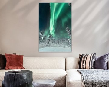 Nordlicht über dem Wald | Reisefotografie Druck | Saariselkä Lappland von Kimberley Jekel