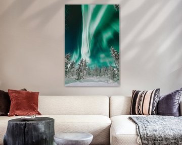 Noorderlicht boven het bos | reisfotografie print | Saariselkä Lapland van Kimberley Jekel
