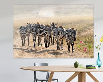 Zebra's by Jeannet Hooftman