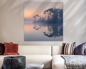 Een mistige zonsopkomst bij de Oisterwijkse Bossen en Vennen van Henk Meijer Photography