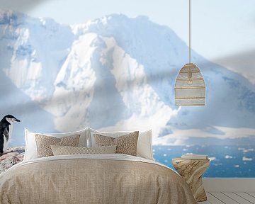 Pinguin auf der Suche in der Antarktis