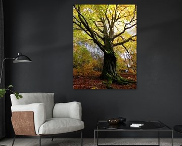 The Power of Trees by Thomas Zacharias