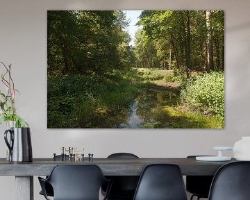 Little Barneveld Brook by Richard Wareham