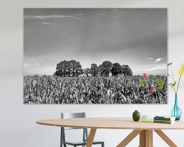 Cornfield Achterveld by Richard Wareham