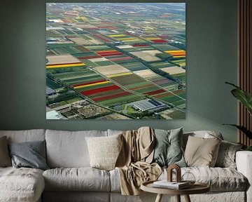 Luchtfoto uit 1986 van de kleurrijke bloembollenvelden