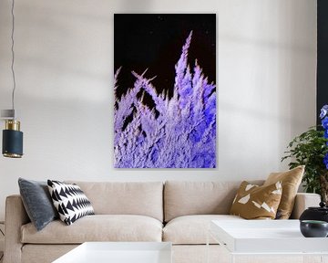 Frosted dream by Loes Molenaar