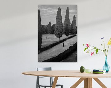 Ochtendrituelen in Villa Borghese van Martijn Jebbink Fotografie