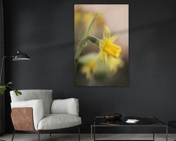 sunshine in nature by Foto A de Jong