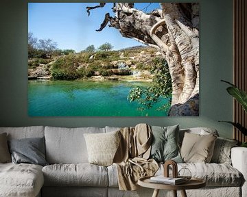 Wadi Darbat, Dhofar, Oman van Jan Fritz