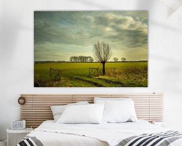 De Ooijpolder bij Nijmegen