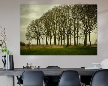 De Ooijpolder bij Nijmegen van Maerten Prins