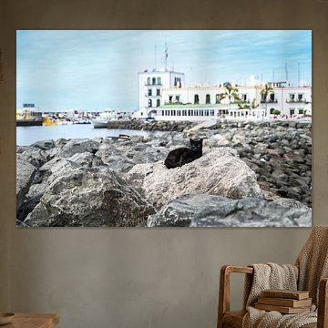 Grande Canarie, Mogán