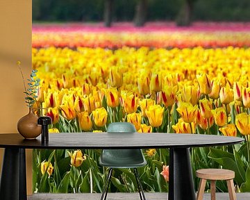 Field of tulips, Egmond Binnen by Fotografie Egmond