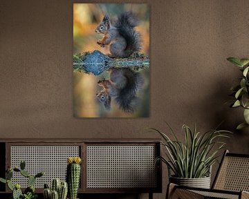 Squirrel with mirror image by Walter Roost
