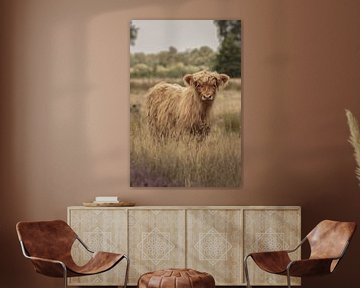 Schotse Hooglander kalf op Landgoed Grote Zand van KB Design & Photography (Karen Brouwer)