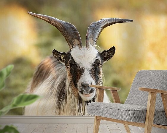 Raumvorschau